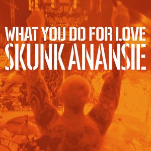 Skunk Anansie What you do for love